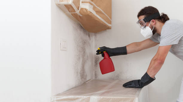 Professional Mold Cleanup technician working in Morristown, NJ