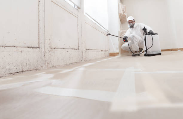 24/7 Emergency Mold Cleanup experts in Morristown, NJ