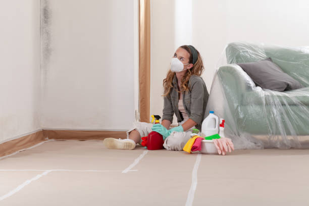 Reliable Mold Cleanup contractor in Morristown, NJ by Cheap Mold Removal